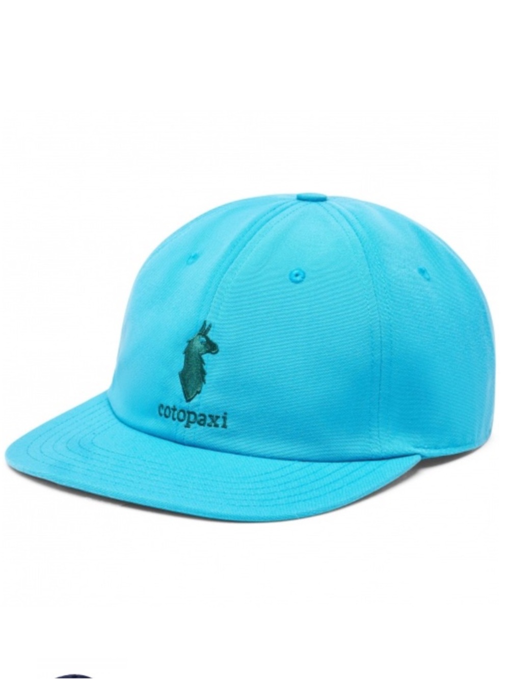 cotopaxi Dad Hat